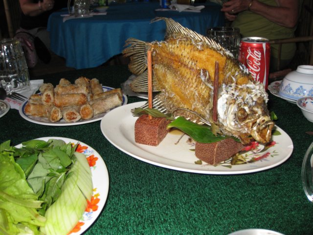 elephantearfishforlunch.jpg