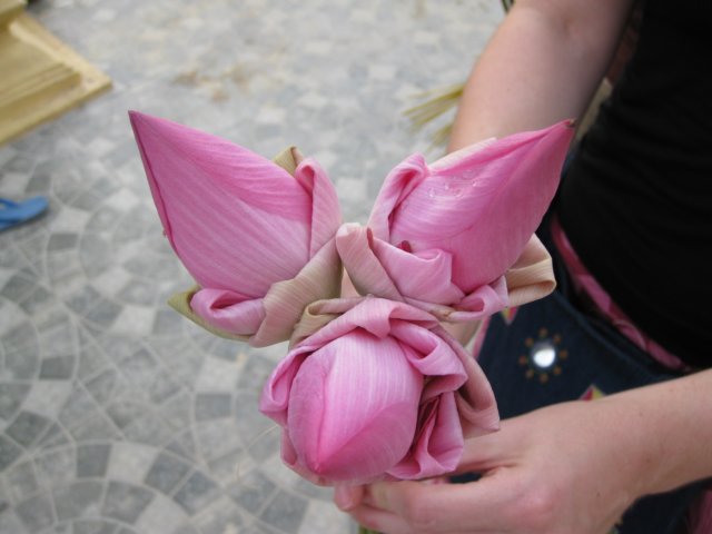 lotusflowers.jpg