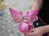 lotusflowers_small.jpg