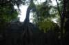 dsc_06641_small.jpg