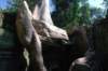 dsc_06648_small.jpg