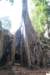 dsc_06653_small.jpg