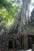 dsc_06659_small.jpg