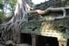 dsc_06667_small.jpg