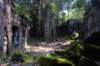 dsc_06689_small.jpg