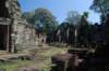 dsc_06695_small.jpg
