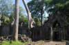 dsc_06699_small.jpg