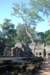 taprohmtemple_small.jpg