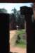 dsc_06775_small.jpg