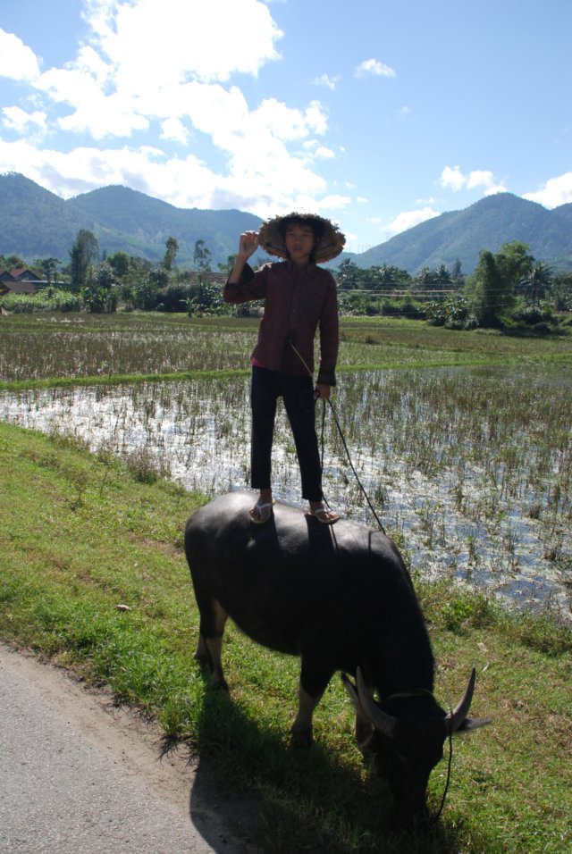 boyonwaterbuffalo.jpg