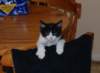 dsc_00130_crop_small.jpg